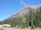 picture0017